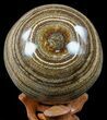 Polished, Banded Aragonite Sphere - Morocco #56993-1